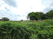 Terreno R�stico - Darque, Viana do Castelo, Viana do Castelo - Miniatura: 4/5