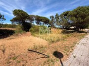 Terreno Urbano - Darque, Viana do Castelo, Viana do Castelo - Miniatura: 4/5
