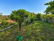 Terreno R�stico - Subportela, Viana do Castelo, Viana do Castelo - Miniatura: 2/9