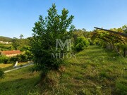 Terreno R�stico - Subportela, Viana do Castelo, Viana do Castelo - Miniatura: 3/9