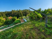 Terreno R�stico - Subportela, Viana do Castelo, Viana do Castelo - Miniatura: 4/9