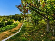 Terreno R�stico - Subportela, Viana do Castelo, Viana do Castelo - Miniatura: 6/9