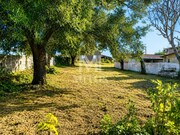 Terreno R�stico - Barroselas, Viana do Castelo, Viana do Castelo - Miniatura: 4/5