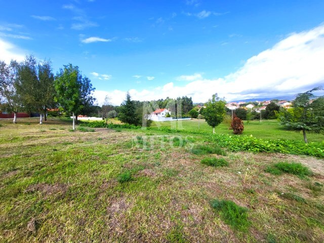 Terreno R�stico - Alvar�es, Viana do Castelo, Viana do Castelo - Imagem grande