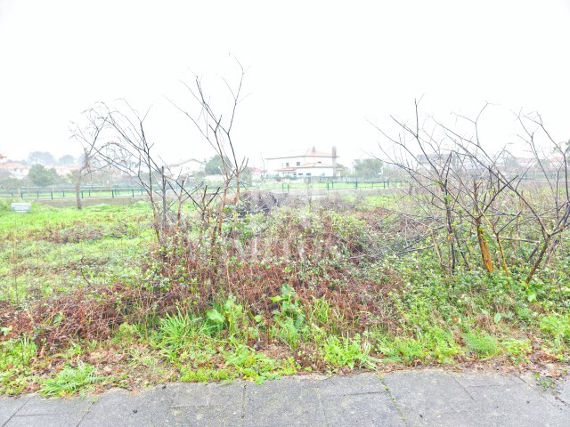 Terreno R�stico - Campos, Vila Nova de Cerveira, Viana do Castelo - Imagem grande