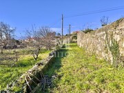 Terreno Rstico - Carreo, Viana do Castelo, Viana do Castelo - Miniatura: 9/9