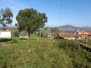 Terreno R�stico - Vila Franca, Viana do Castelo, Viana do Castelo - Miniatura: 5/7