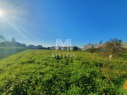 Terreno R�stico - Areosa, Viana do Castelo, Viana do Castelo - Miniatura: 3/9
