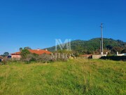 Terreno R�stico - Areosa, Viana do Castelo, Viana do Castelo - Miniatura: 5/9