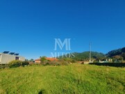 Terreno R�stico - Areosa, Viana do Castelo, Viana do Castelo - Miniatura: 8/9