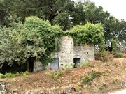 Terreno R�stico - Durr�es, Barcelos, Braga - Miniatura: 1/8
