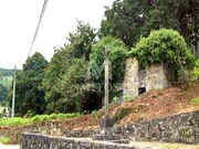 Terreno R�stico - Durr�es, Barcelos, Braga - Miniatura: 3/8