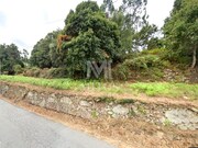 Terreno R�stico - Durr�es, Barcelos, Braga - Miniatura: 4/8