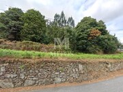 Terreno R�stico - Durr�es, Barcelos, Braga - Miniatura: 7/8