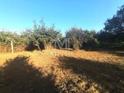 Terreno R�stico - Muj�es, Viana do Castelo, Viana do Castelo - Miniatura: 3/9