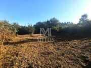 Terreno R�stico - Muj�es, Viana do Castelo, Viana do Castelo - Miniatura: 4/9