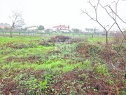 Terreno R�stico - Campos, Vila Nova de Cerveira, Viana do Castelo - Miniatura: 3/5