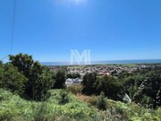 Terreno R�stico - Areosa, Viana do Castelo, Viana do Castelo - Miniatura: 2/9
