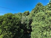 Terreno R�stico - Areosa, Viana do Castelo, Viana do Castelo - Miniatura: 7/9