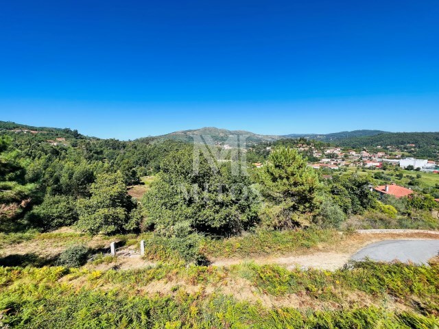 Terreno R�stico - Navi� e Vitorino dos Pi�es, Ponte de Lima, Viana do Castelo - Imagem grande