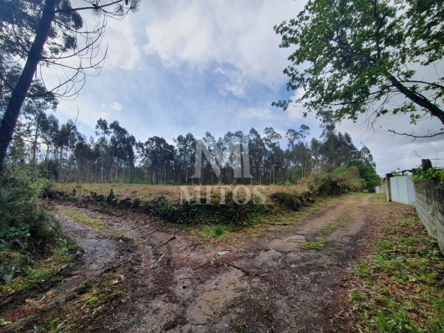 Terreno Industrial - Vila de Punhe, Viana do Castelo, Viana do Castelo - Imagem grande