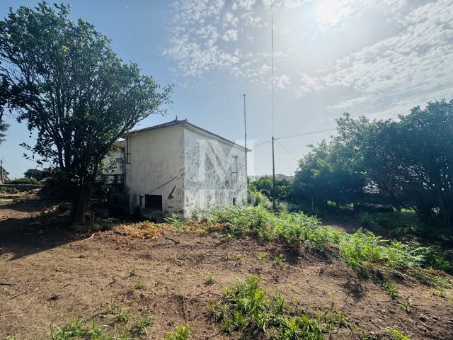 Terreno R�stico - Areosa, Viana do Castelo, Viana do Castelo - Imagem grande