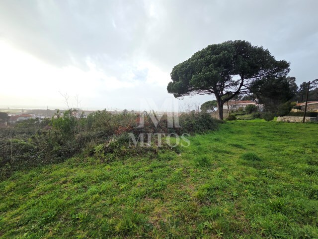 Terreno R�stico - Areosa, Viana do Castelo, Viana do Castelo - Imagem grande