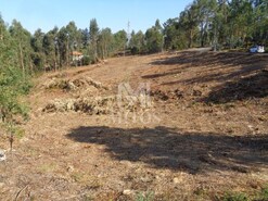 Terreno R�stico - Ribeira, Ponte de Lima, Viana do Castelo
