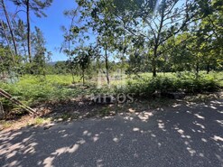 Terreno R�stico - S�o Pedro da Torre, Valen�a, Viana do Castelo