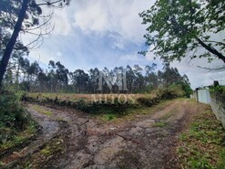 Terreno Industrial - Vila de Punhe, Viana do Castelo, Viana do Castelo
