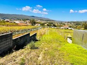 Terreno R�stico - Santa Marta de Portuzelo, Viana do Castelo, Viana do Castelo - Miniatura: 1/6