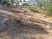 Terreno R�stico - Ribeira, Ponte de Lima, Viana do Castelo - Miniatura: 2/6