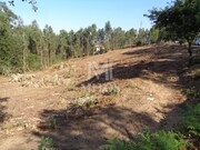 Terreno R�stico - Ribeira, Ponte de Lima, Viana do Castelo - Miniatura: 5/6