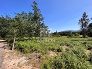 Terreno R�stico - S�o Pedro da Torre, Valen�a, Viana do Castelo - Miniatura: 7/9