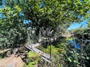 Terreno R�stico - Navi� e Vitorino dos Pi�es, Ponte de Lima, Viana do Castelo - Miniatura: 2/9