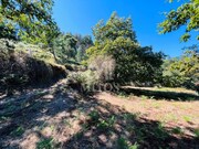 Terreno R�stico - Navi� e Vitorino dos Pi�es, Ponte de Lima, Viana do Castelo - Miniatura: 6/9
