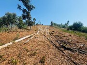 Terreno R�stico - Santa Maria Maior, Viana do Castelo, Viana do Castelo - Miniatura: 3/9