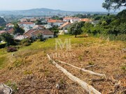 Terreno R�stico - Santa Maria Maior, Viana do Castelo, Viana do Castelo - Miniatura: 4/9