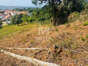 Terreno R�stico - Santa Maria Maior, Viana do Castelo, Viana do Castelo - Miniatura: 5/9