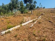 Terreno R�stico - Santa Maria Maior, Viana do Castelo, Viana do Castelo - Miniatura: 6/9