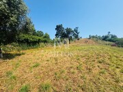 Terreno R�stico - Santa Maria Maior, Viana do Castelo, Viana do Castelo - Miniatura: 7/9