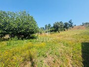 Terreno R�stico - Santa Maria Maior, Viana do Castelo, Viana do Castelo - Miniatura: 8/9