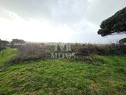 Terreno R�stico - Areosa, Viana do Castelo, Viana do Castelo - Miniatura: 2/9