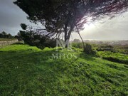 Terreno R�stico - Areosa, Viana do Castelo, Viana do Castelo - Miniatura: 3/9