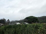 Terreno R�stico - Areosa, Viana do Castelo, Viana do Castelo - Miniatura: 4/9