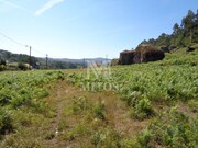 Moradia T3 - Padornelo, Paredes de Coura, Viana do Castelo - Miniatura: 6/9