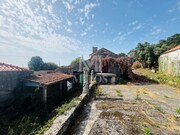 Terreno R�stico - Areosa, Viana do Castelo, Viana do Castelo - Miniatura: 6/9