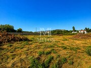 Terreno R�stico - Vila de Punhe, Viana do Castelo, Viana do Castelo - Miniatura: 3/9