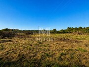 Terreno R�stico - Vila de Punhe, Viana do Castelo, Viana do Castelo - Miniatura: 7/9