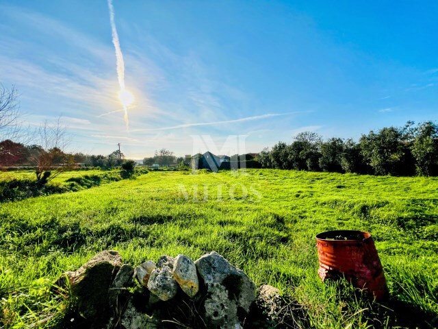 Terreno R�stico - Afife, Viana do Castelo, Viana do Castelo - Imagem grande
